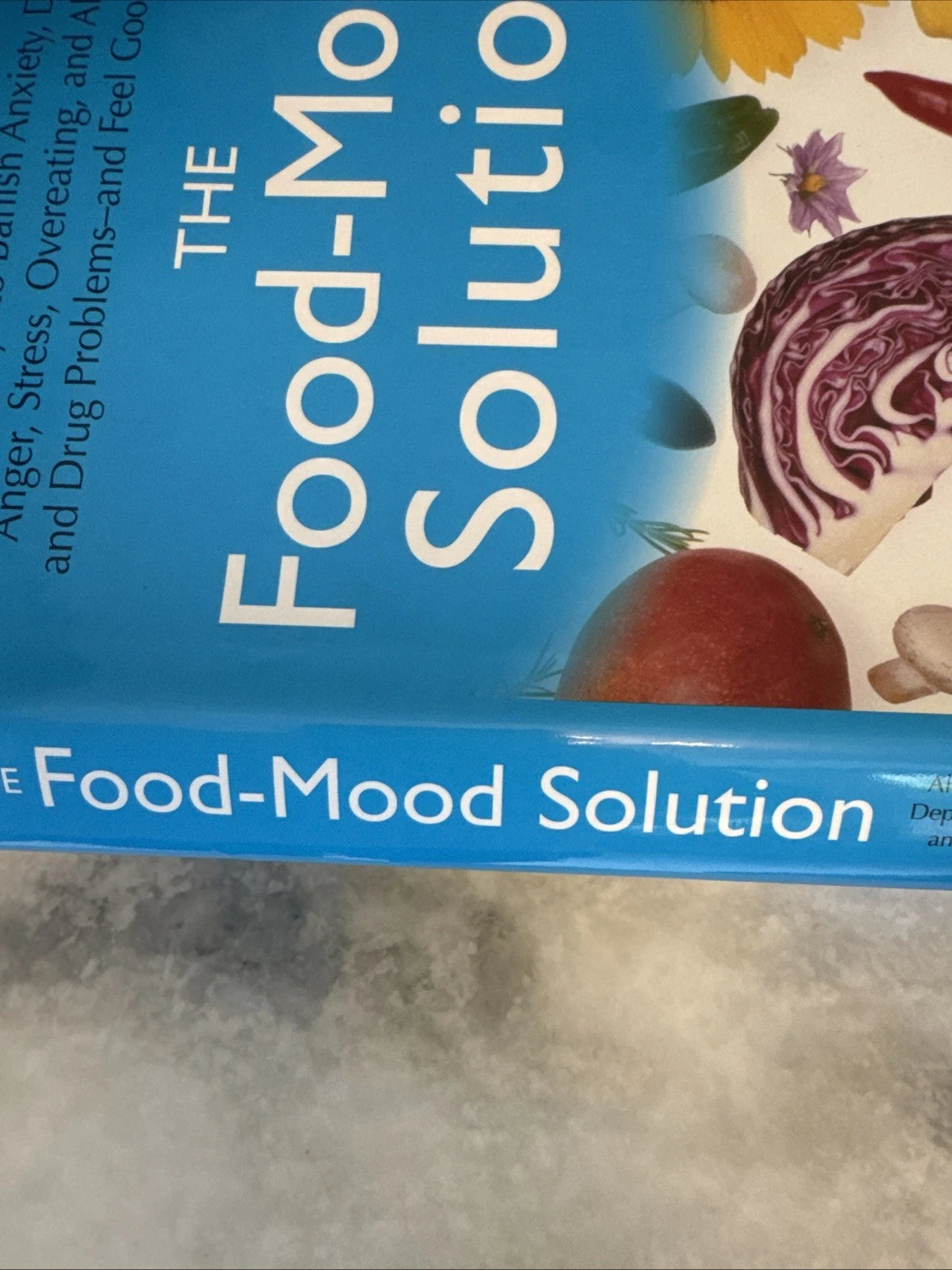 The Food-Mood Solution Jack Challem HC Nutrition Mental Health Wellness Book