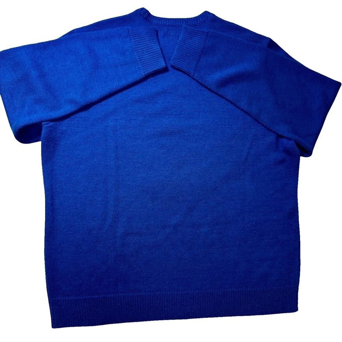 American Rag Cie Bear Sweater Men’s 2XL Blue Long Sleeve Graphic Knit