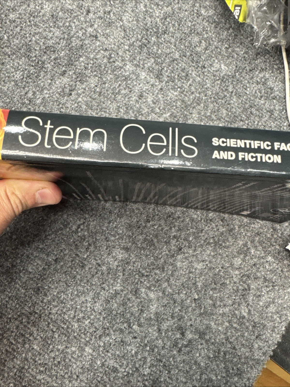 Stem Cells Scientific Facts and Fiction Mummery Wilmut Hardcover Biology Book