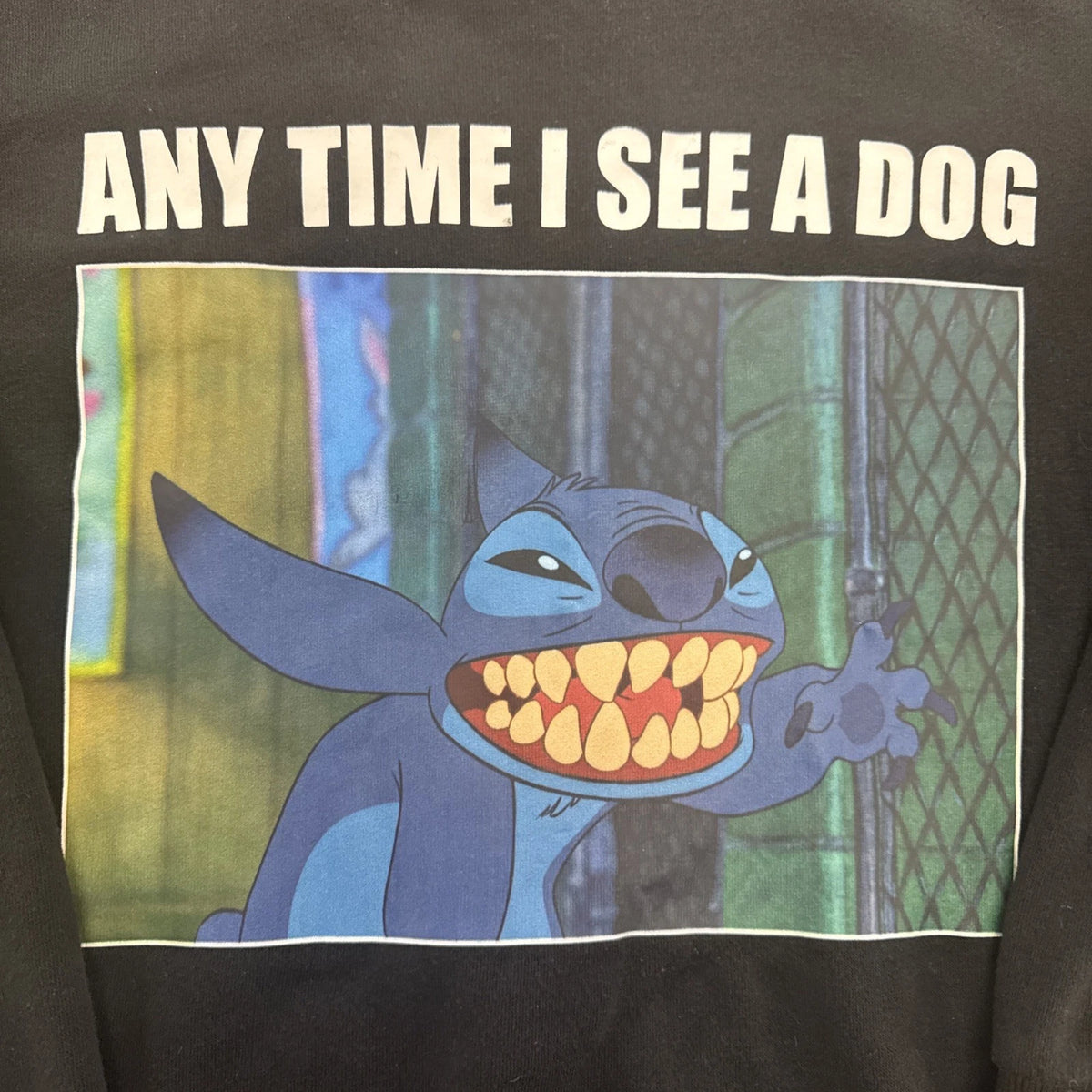 Disney Lilo & Stitch Any Time I See A Dog Sweatshirt Black 5X Plus Size