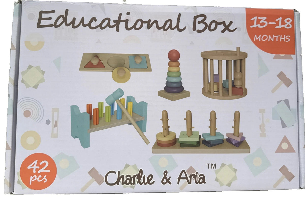 Charlie & Aria Educational Box 13-18 Months Montessori Wooden Toys 42 PCS New