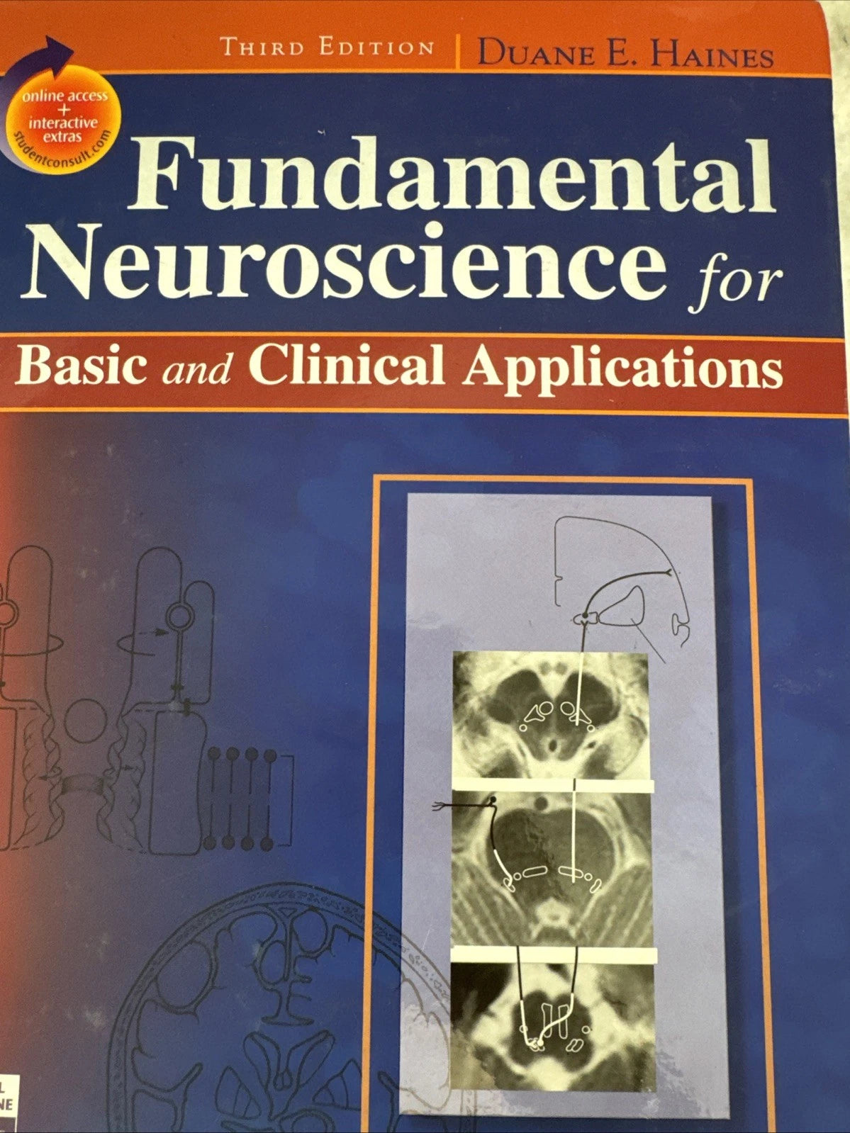 Fundamental Neuroscience for Basic & Clinical Applications 3rd Ed Haines HC