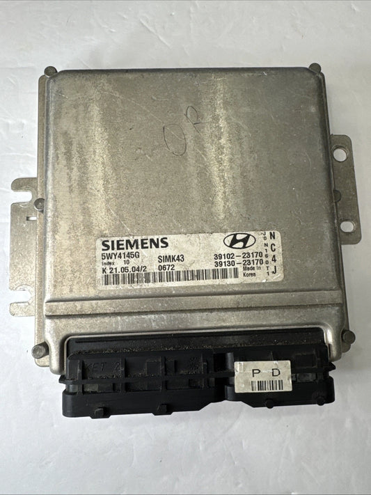 39101-23171 Hyundai Elantra ecm ecu computer 2004-2006