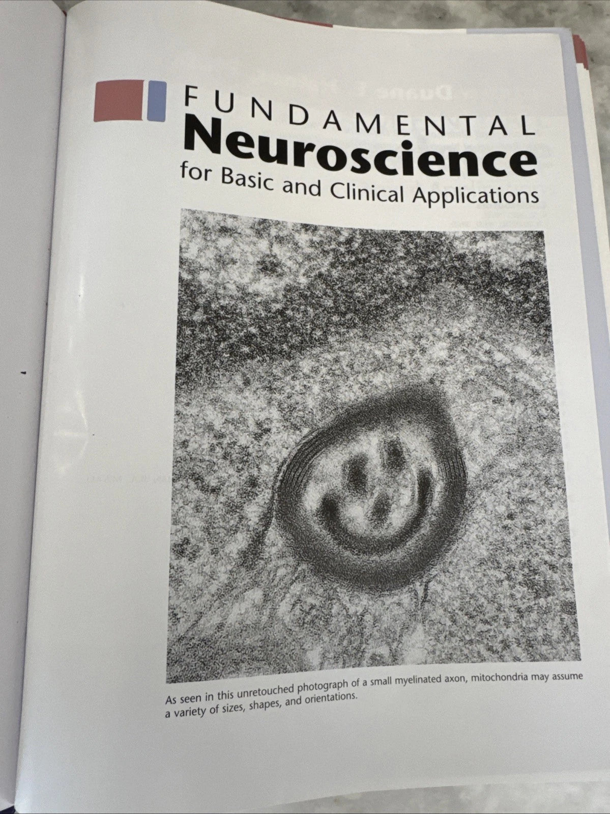 Fundamental Neuroscience for Basic & Clinical Applications 3rd Ed Haines HC