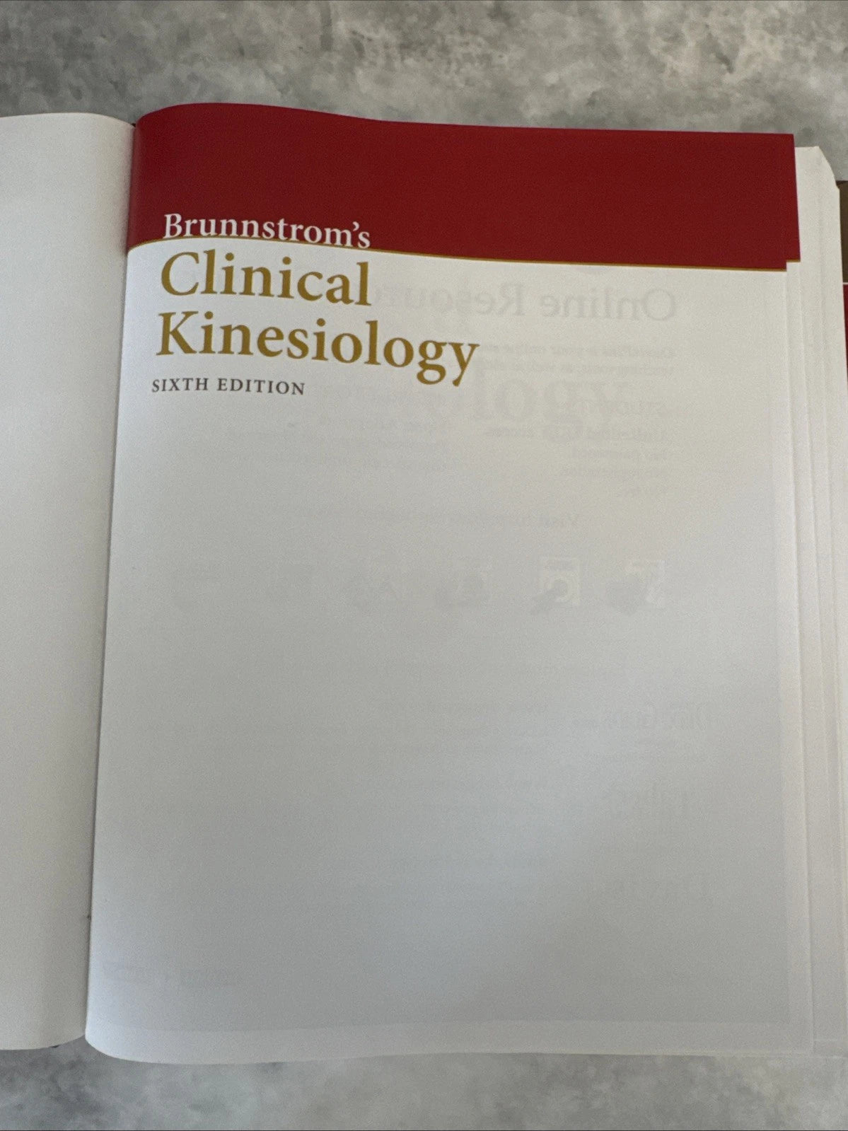 Brunnstrom’s Clinical Kinesiology 6th Edition Houglum Bertoti Physical Therapy