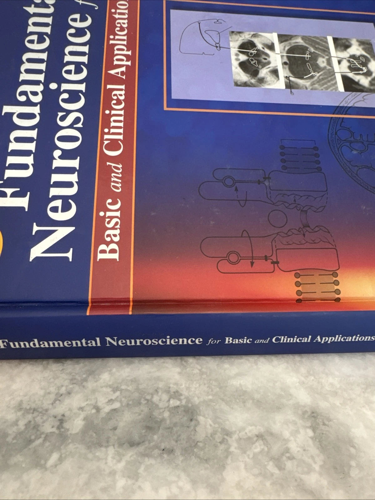 Fundamental Neuroscience for Basic & Clinical Applications 3rd Ed Haines HC