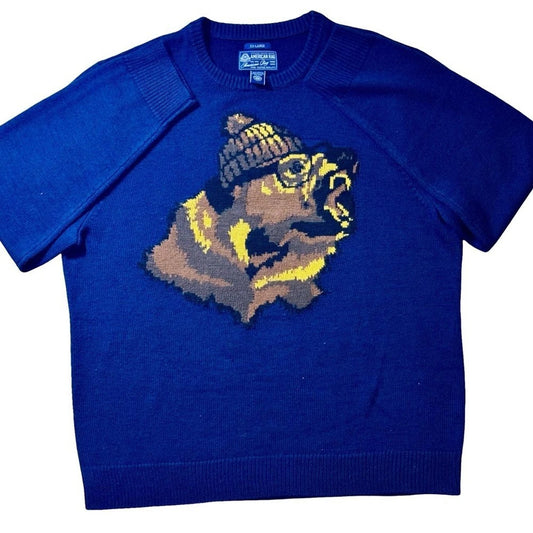 American Rag Cie Bear Sweater Men’s 2XL Blue Long Sleeve Graphic Knit
